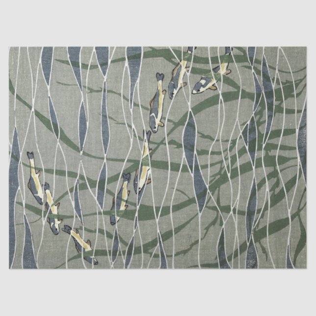 Papel De Seda Escuela de pescado en Kelp (Anverso)