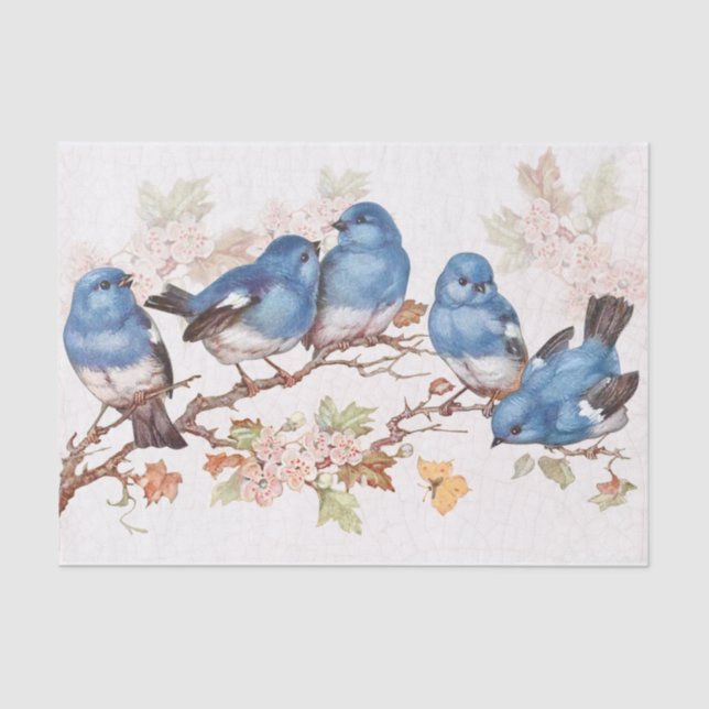 Papel De Seda Esos bebés blues (Anverso)