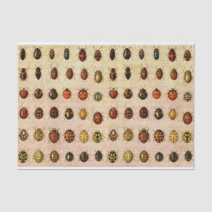 Papel De Seda Espécimen Patrón de Mariquita Vintage Insecto Anti