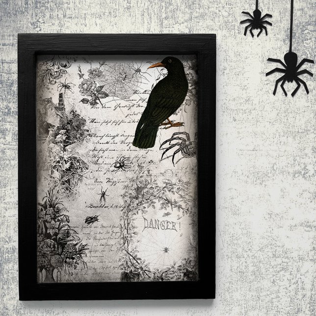 Papel De Seda Espeluznante araña de Halloween y raven efemera (Subido por el creador)