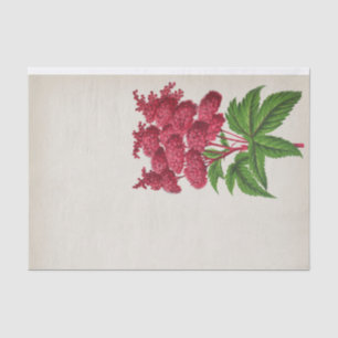 Papel De Seda Espiraea roja de época floral Palmata