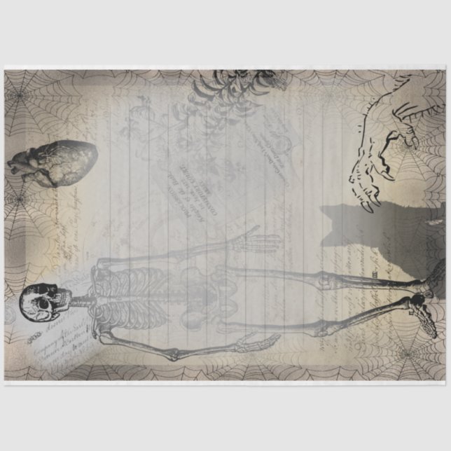 Papel De Seda Esqueleto de Halloween y la efimera de la cosecha  (Anverso)