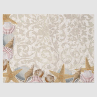Papel De Seda Esquina de la desconchadora costera Sandy Seashell