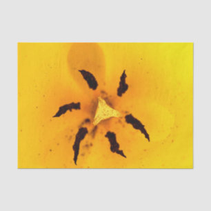 Papel De Seda Estambre y polen de tulipán