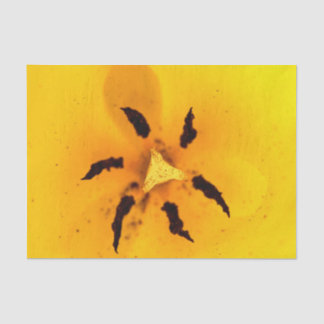 Papel De Seda Estambre y polen de tulipán