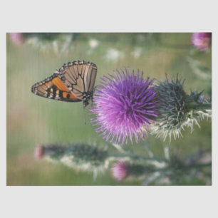 Papel De Seda Estampa de Cardo y Mariposa