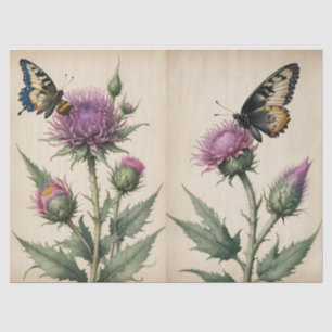 Papel De Seda Estampa de Cardo y Mariposa