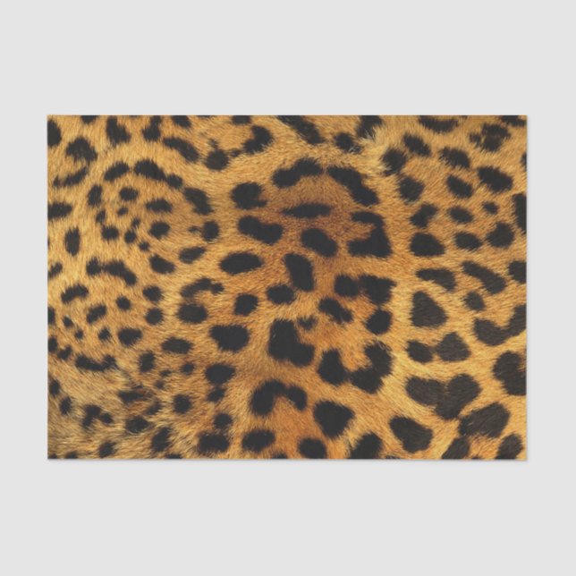 Papel De Seda estampado leopardo femenino del guepardo animal (Anverso)