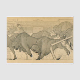 Papel De Seda Estampida de búfalo, Savage Iowa, 1923 por Grant W