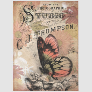 Papel De Seda Estudio Fotográfico de Letra Floral de Mariposa Vi