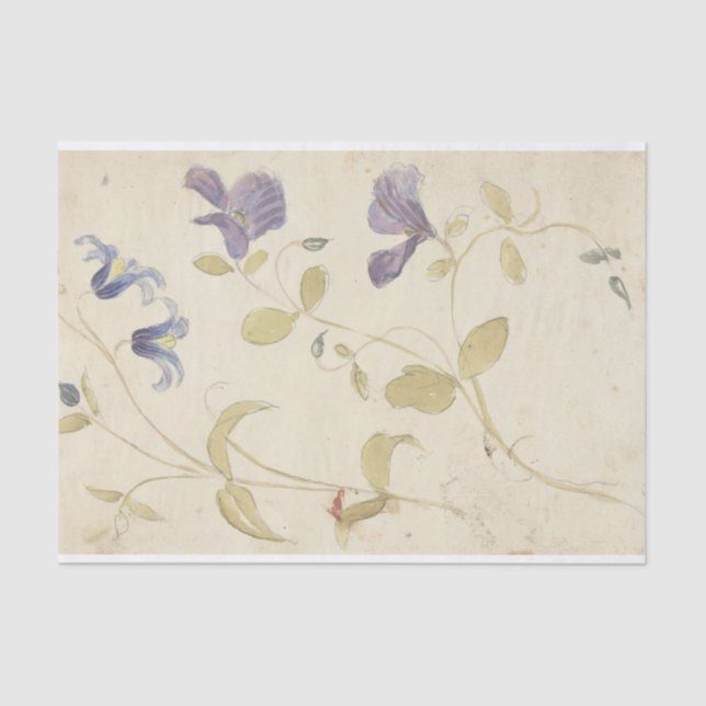 Papel De Seda Estudios de las flores moradas y azules de Nijmege (Anverso)