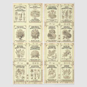 Papel De Seda Etiquetas de Botica Chelsea de Diseño Victoriano 1