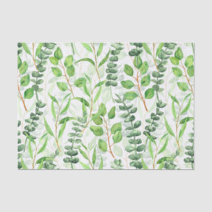 Papel De Seda Eucalyptus