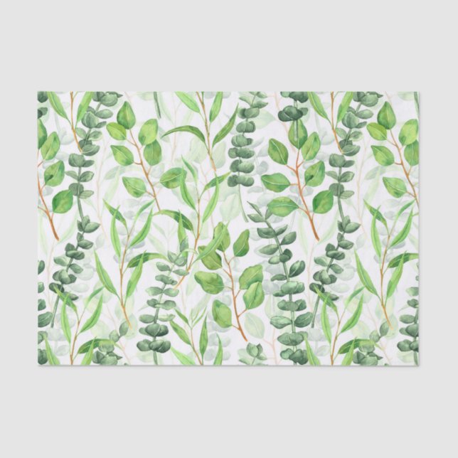 Papel De Seda Eucalyptus (Anverso)