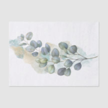 Eucalyptus Green Foliage Watercolor
