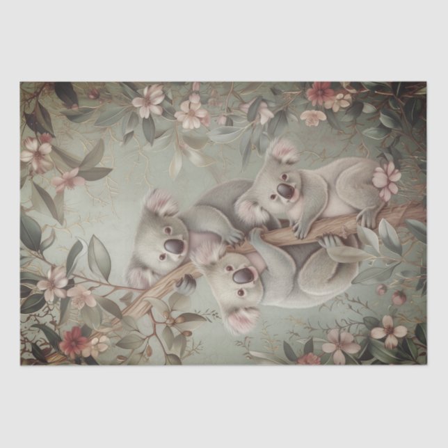 Papel De Seda Eucalyptus Koala Bear (Anverso)