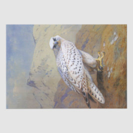 Papel De Seda Falcon Watercolor Wildlife Decoupage