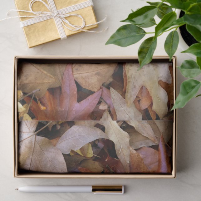 Papel De Seda Fall Leaf (Regalo )