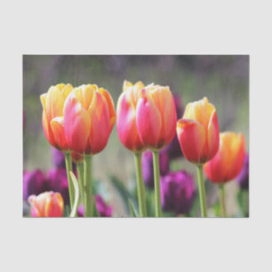 Papel De Seda Faln Tulips Aflame