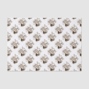 Papel De Seda Familia de Linces Rojos