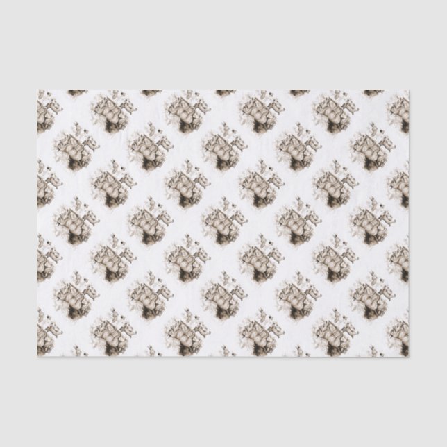 Papel De Seda Familia de Linces Rojos (Anverso)