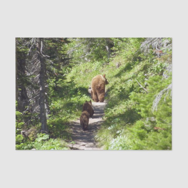 Papel De Seda Familia de oso marrón (Anverso)