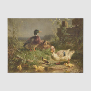Papel De Seda Familia de patos por Carl Jutz