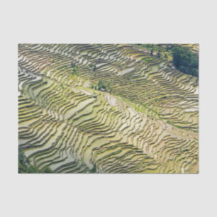 Papel De Seda Famosas terrazas de arroz yuanyang - Yunnan, China
