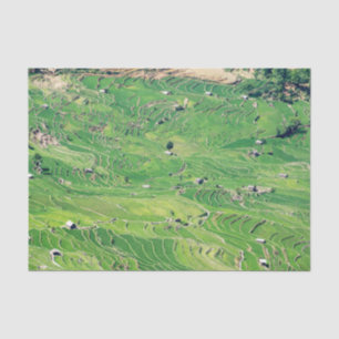 Papel De Seda Famosas terrazas de arroz yuanyang - Yunnan, China