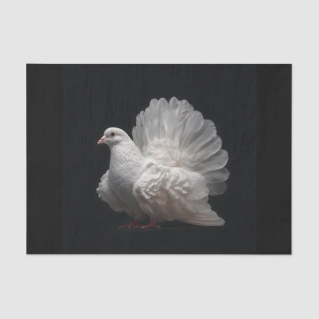 Papel De Seda Fantail Pigeon (Anverso)