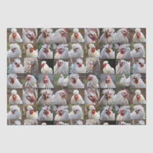 Papel De Seda "Feathers in Focus: Un retrato de pollo blanco"