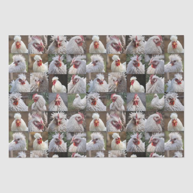 Papel De Seda "Feathers in Focus: Un retrato de pollo blanco" (Anverso)