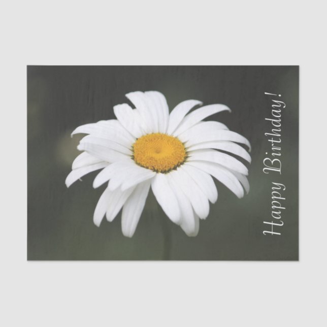 Papel De Seda Feliz cumpleaños, Daisy Tissue (Anverso)