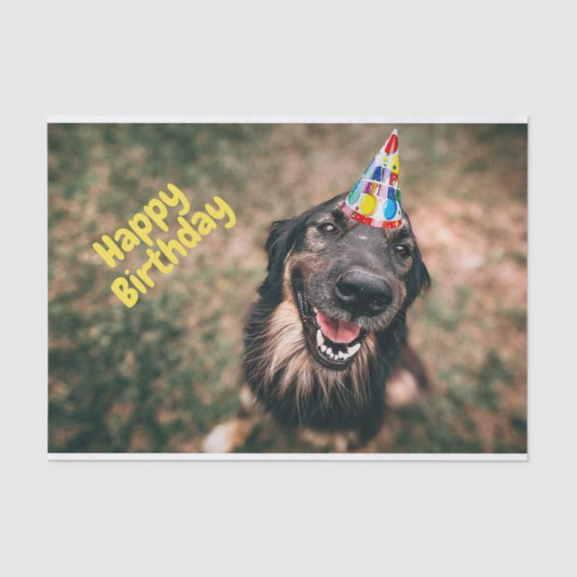 Papel De Seda Feliz cumpleaños de perro gracioso en Gorra Fiesta (Anverso)