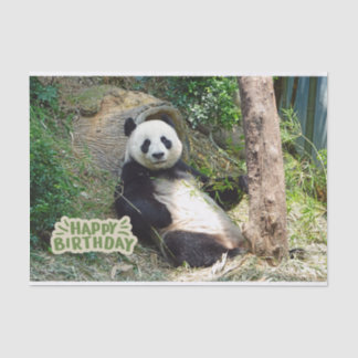Papel De Seda Feliz cumpleaños Giant Panda Bear