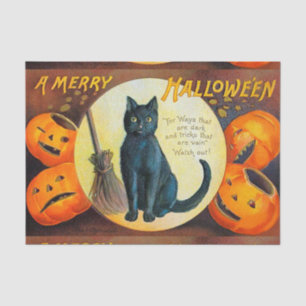 Papel De Seda Feliz Halloween gato de Falln