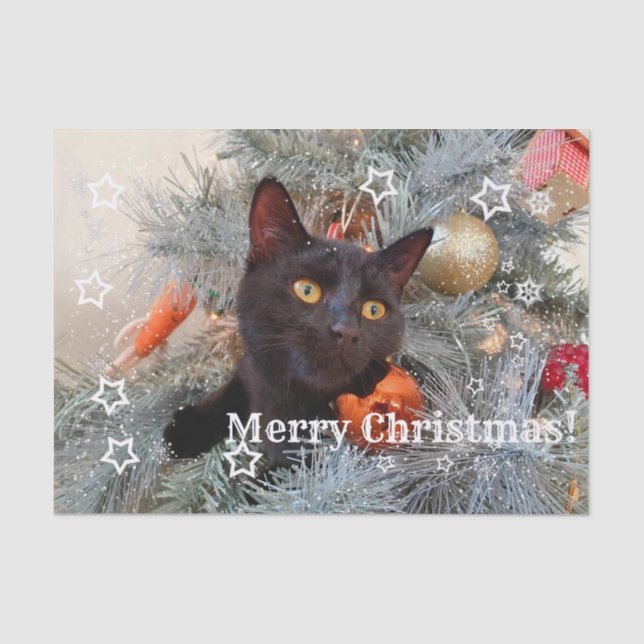 Papel De Seda Feliz Navidad de Gato Negro, Desnudo (Anverso)
