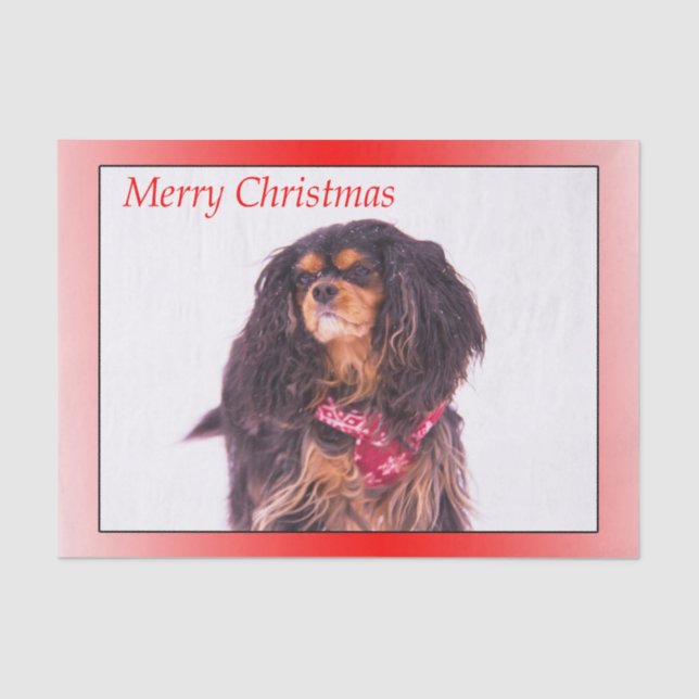 Papel De Seda Feliz Navidad Negro Tan Cavalier Rey Charles (Anverso)