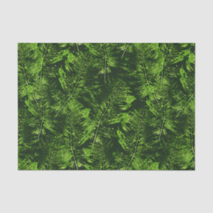 Papel De Seda Ferinos pintados