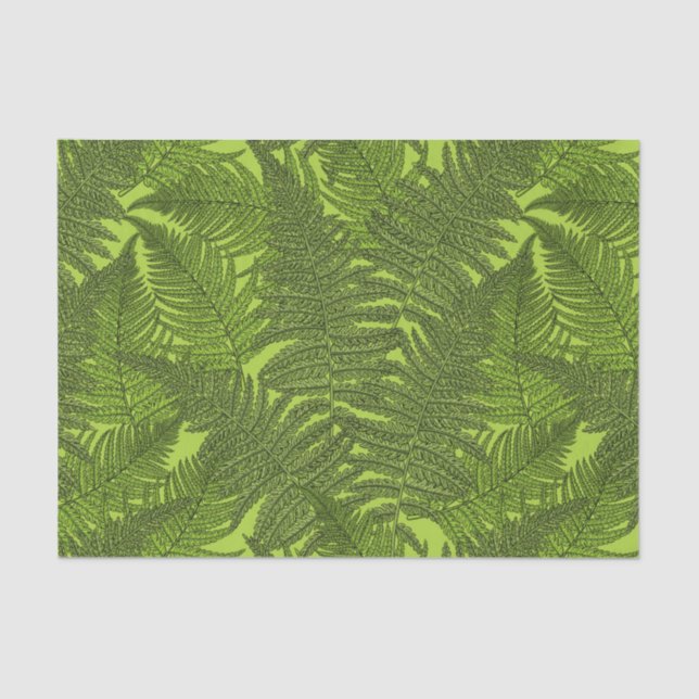 Papel De Seda Fern en verde (Anverso)