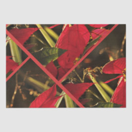 Papel De Seda Festividad de los Navidades de Poinsettia