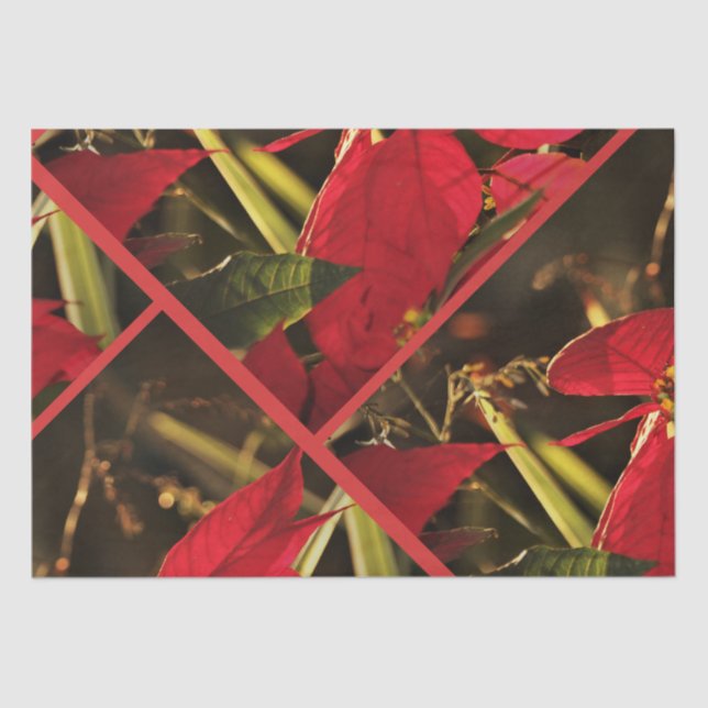 Papel De Seda Festividad de los Navidades de Poinsettia (Anverso)