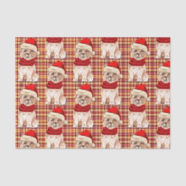 Papel De Seda Festividad del Trío Rojo y los Navidades (Anverso)