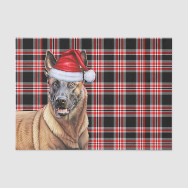 Papel De Seda Festividad Red Plaid Navidades de Perros de Malino (Anverso)