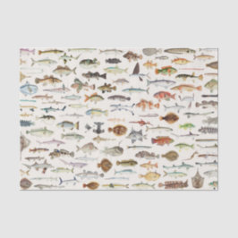 Papel De Seda Fiesta de cumpleaños de pesca de peces