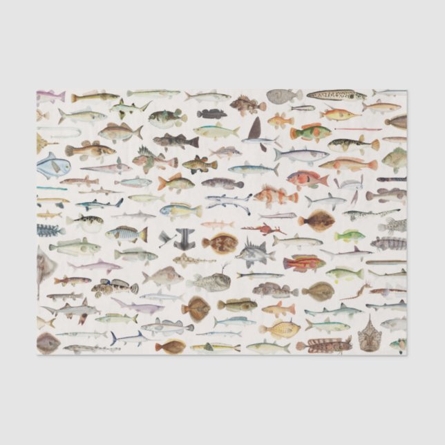 Papel De Seda Fiesta de cumpleaños de pesca de peces (Anverso)