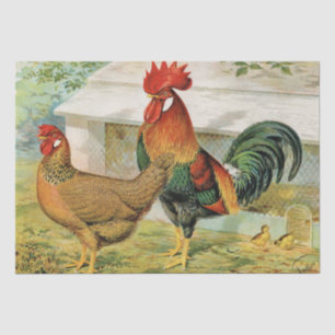Papel De Seda Fiesta de gallo y gallina vintage adorable