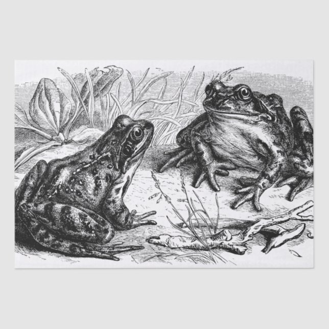 Papel De Seda Fiesta de ranas cutáneo vintage (Anverso)