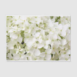 Papel De Seda Fiesta de verano de Hortensia Blanca