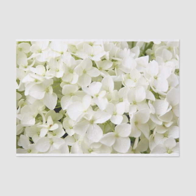 Papel De Seda Fiesta de Verano de Hortensias Blancas (Anverso)
